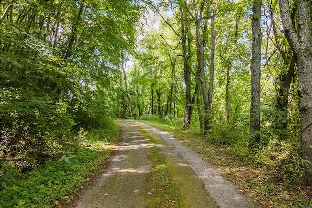 view of road with a view of trees