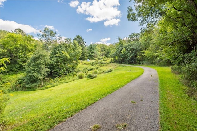 view of property's community with a lawn and a wooded view