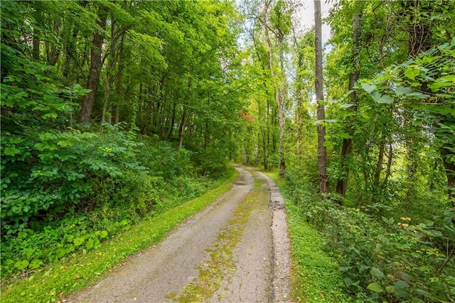 view of road featuring a view of trees