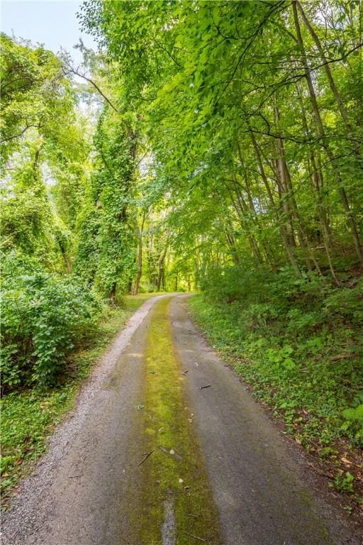 view of road featuring a forest view