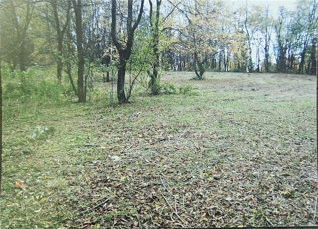 2915 Kane Rd, Hopewell Twp Bea, PA 15001 - view of yard