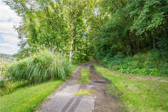 2915 Kane Rd, Hopewell Twp Bea, PA 15001 - view of road