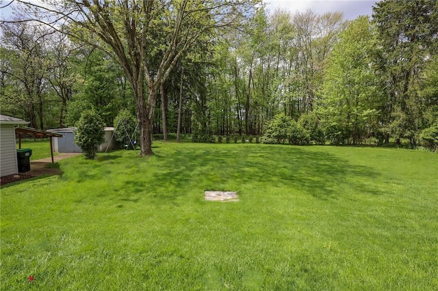 view of grassy yard