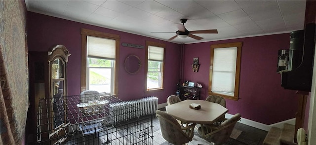 dining room with a ceiling fan, ornamental molding, and baseboards
