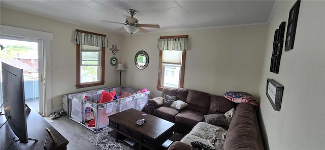 living area featuring ceiling fan, wood finished floors, and ornamental molding