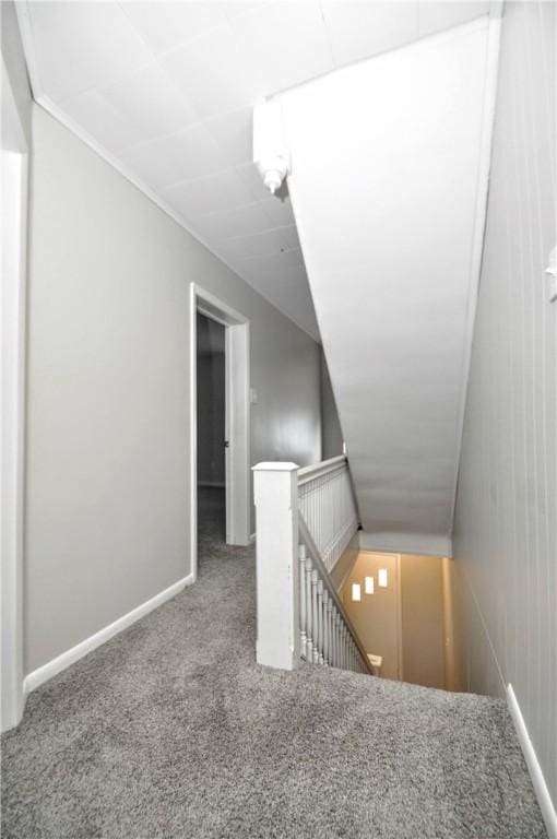 stairs with carpet floors and baseboards