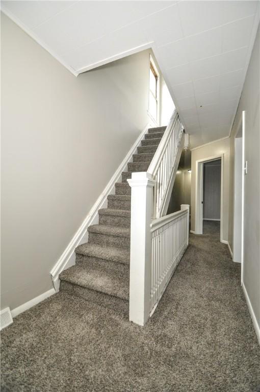 staircase featuring carpet floors and baseboards