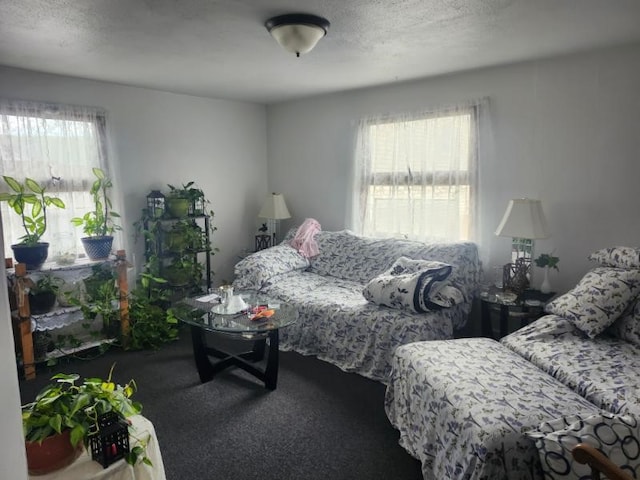 living area featuring plenty of natural light and carpet