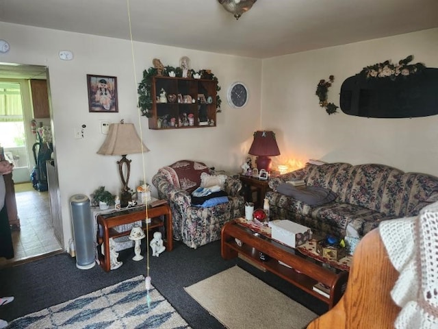 living area featuring carpet flooring
