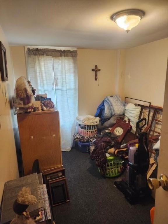 bedroom featuring carpet floors