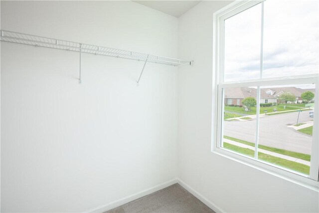 118 Leslie Farms Dr, Connoquenessing Boro, PA 16033 - walk in closet with carpet flooring
