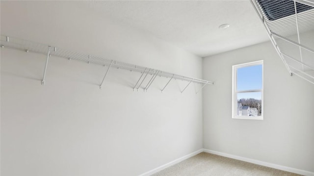walk in closet featuring light colored carpet