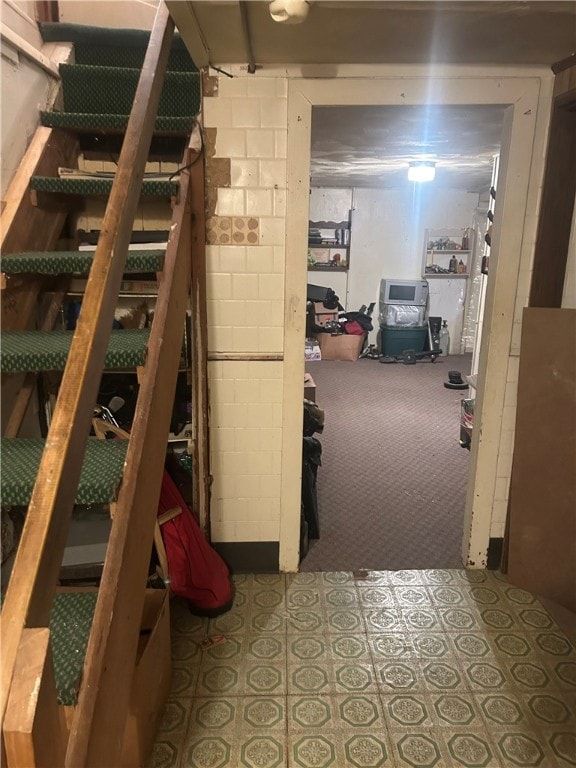unfinished basement featuring carpet floors