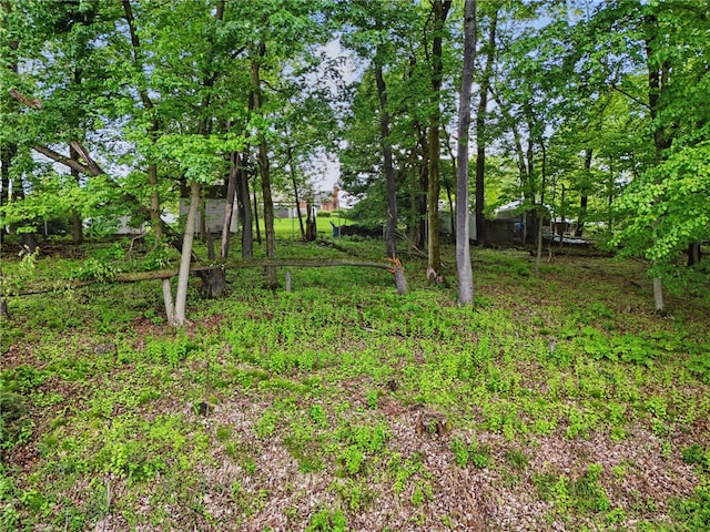 1118 Mcknight, Bethel Park, PA 15102 - photo 38