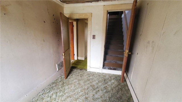 1710 3rd Ave, New Brighton, PA 15066 - hallway with stairs and carpet