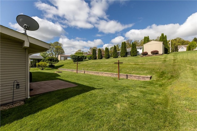view of green lawn