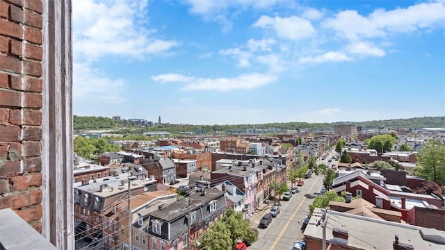 2132 Sarah St Unit 201, South Side, PA 15203 - view of urban area