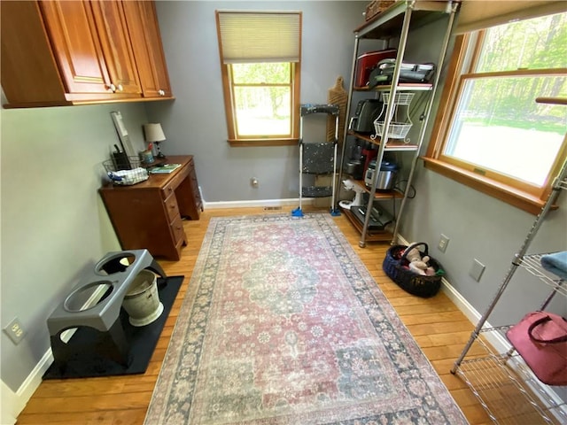 9935 Greiser Rd, Conneaut Lake Cra, PA 16316 - interior space featuring plenty of natural light, light wood finished floors, and baseboards