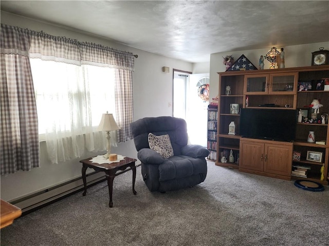 807 W 1st Ave, Derry Twp, PA 15627 - living area featuring a baseboard heating unit, plenty of natural light, and carpet