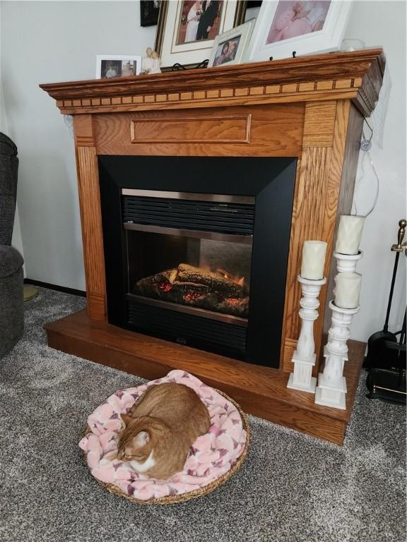 807 W 1st Ave, Derry Twp, PA 15627 - detailed view of a glass covered fireplace