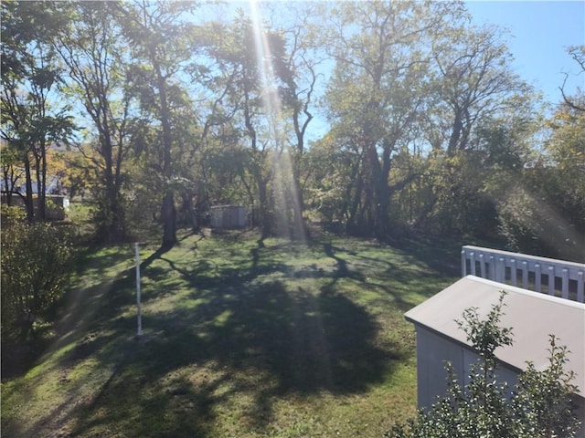 807 W 1st Ave, Derry Twp, PA 15627 - view of grassy yard