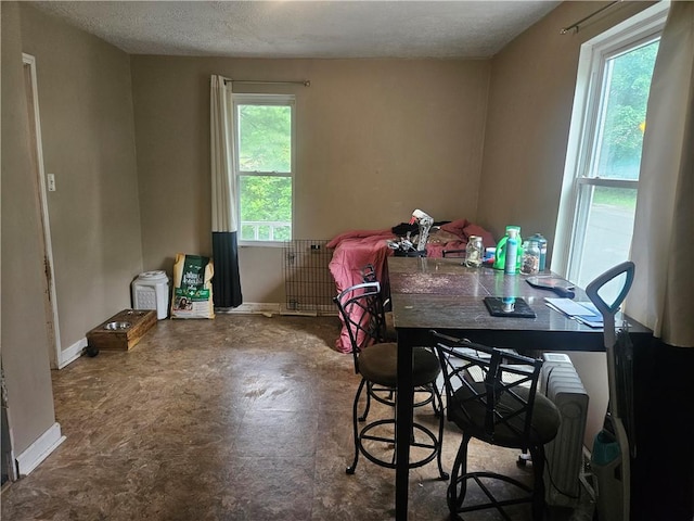 dining room with baseboards and a textured ceiling