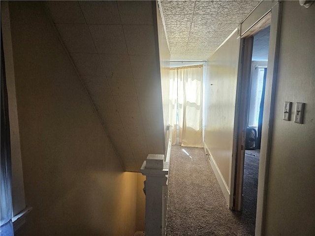 hall featuring carpet floors and plenty of natural light