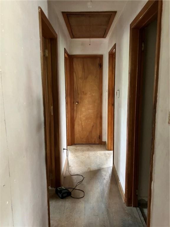 119 Reed Rd, Clearfield Twp, PA 16034 - hallway featuring attic access