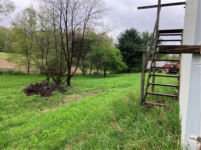 119 Reed Rd, Clearfield Twp, PA 16034 - view of green lawn with stairs