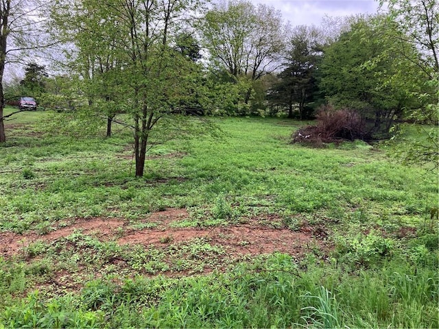 119 Reed Rd, Clearfield Twp, PA 16034 - view of yard featuring a forest view