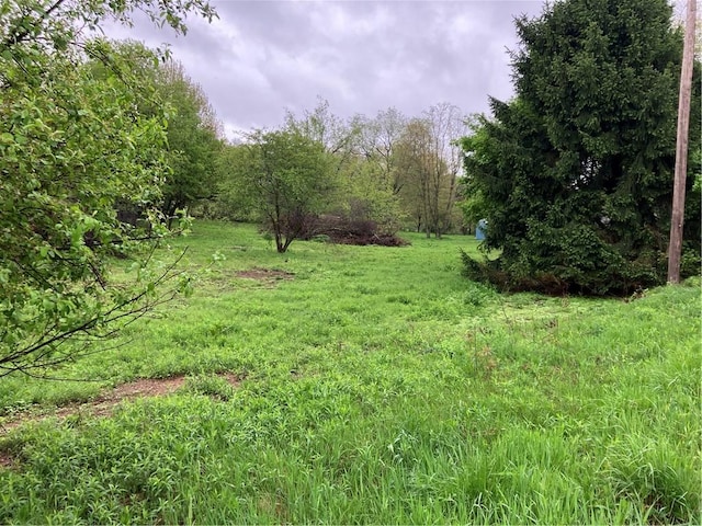 119 Reed Rd, Clearfield Twp, PA 16034 - view of nature