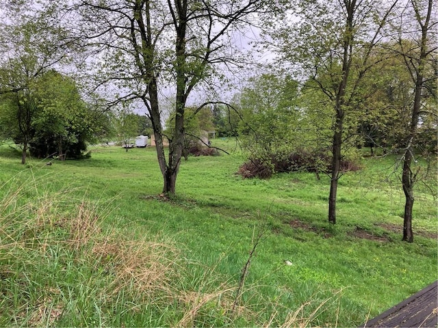 119 Reed Rd, Clearfield Twp, PA 16034 - view of yard