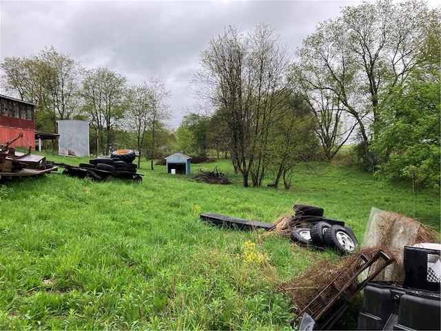 119 Reed Rd, Clearfield Twp, PA 16034 - view of yard