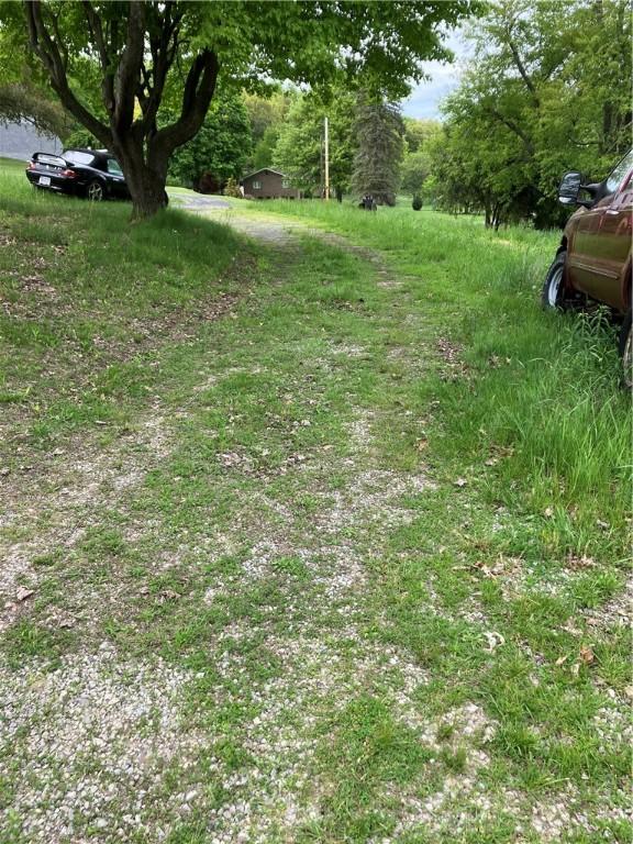 119 Reed Rd, Clearfield Twp, PA 16034 - view of yard