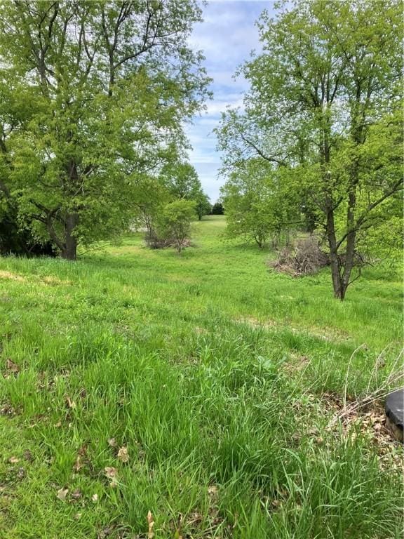 119 Reed Rd, Clearfield Twp, PA 16034 - view of yard