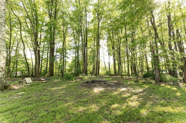 745 N Broad St, Pine Twp Mer, PA 16127 - view of yard featuring a view of trees