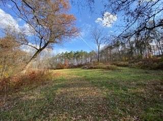 336 Walkchalk Rd, East Franklin Twp, PA 16201 - view of yard