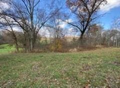 336 Walkchalk Rd, East Franklin Twp, PA 16201 - view of grassy yard