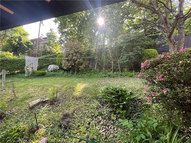 view of yard