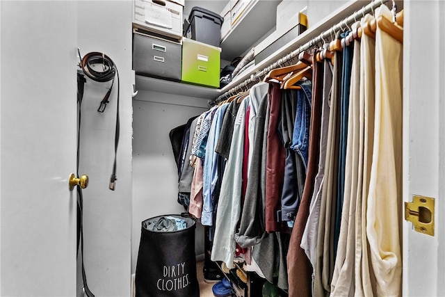 view of spacious closet