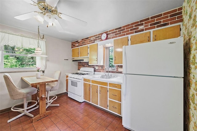 kitchen featuring white appliances, a sink, under cabinet range hood, light countertops, and a ceiling fan