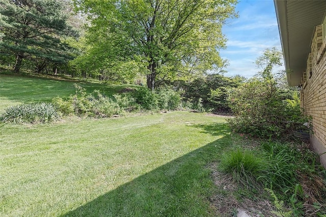 view of grassy yard