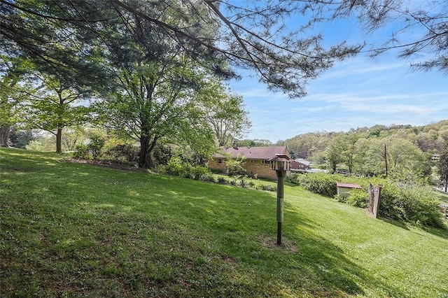 view of green lawn