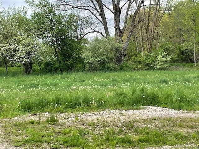171 N Maysville, West Salem Twp, PA 16125 - view of nature