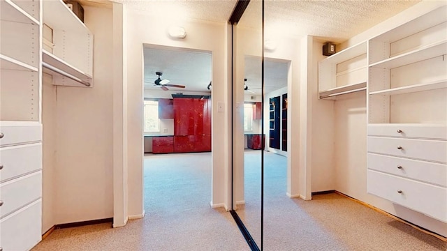 5600 Munhall Rd Unit 403, Squirrel Hill, PA 15217 - spacious closet with ceiling fan and light carpet