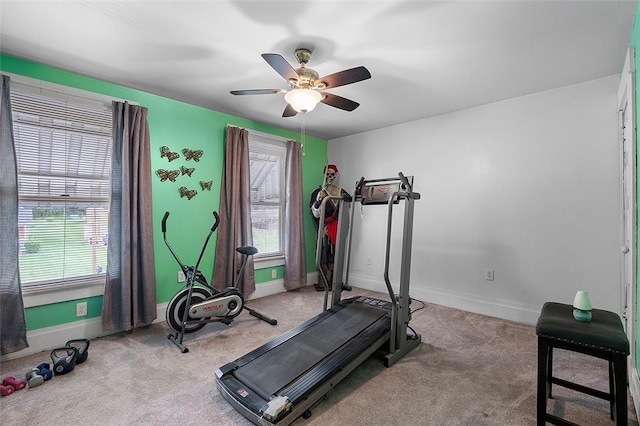 1320 3rd St, Jefferson Hills, PA 15025 - workout room featuring plenty of natural light, ceiling fan, carpet, and baseboards