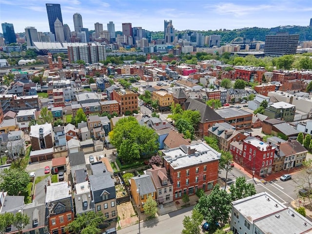 607 Tripoli St, Central North Side, PA 15212 - bird's eye view of a view of skyline