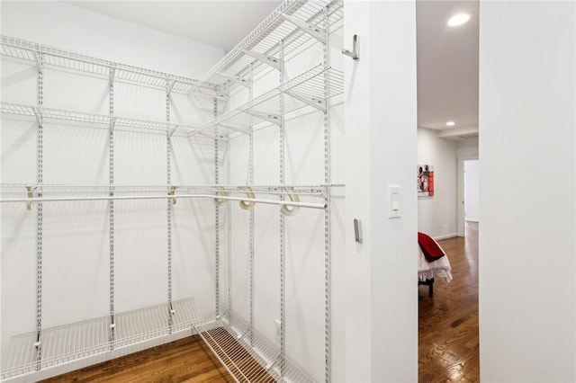 spacious closet featuring wood finished floors