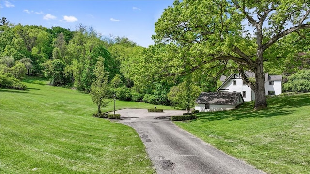 view of asphalt driveway