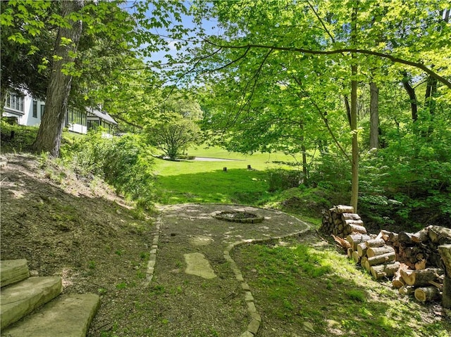 view of green lawn